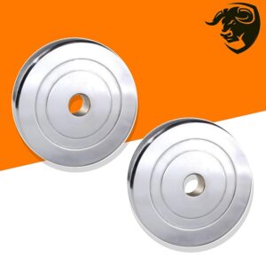 BULLAR Steel Weight Plates, Steel Exercise Spare Weight Plates Set for Home Gym (Pair of 5 kg)