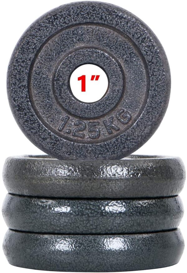Dolphy 1.25 kg x 4 Standard Weight Plates for Home Gym | 1 Inch Cast Iron Weight Lifting Plates 5 kg