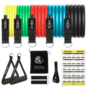 PRO365 Premium Resistance Exercise Bands Set| Thickened Door Anchor| Cushioned Handles| Ankle Straps| Carry Bag| Instruction Manual| Physical Therapy & Strength Training| 1 Year...
