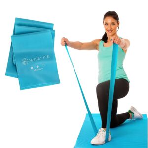Wiselife Professional Latex Resistance Thera Band (Medium Resistance) | 48x4 inch | 100% Natural | For Warm-Up, Stretching, Cardio, Strength Training, Home Fitness, Exercise,...